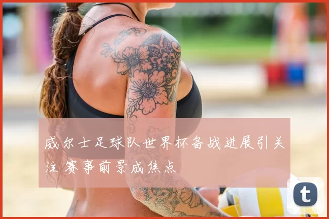威尔士足球队世界杯备战进展引关注 赛事前景成焦点