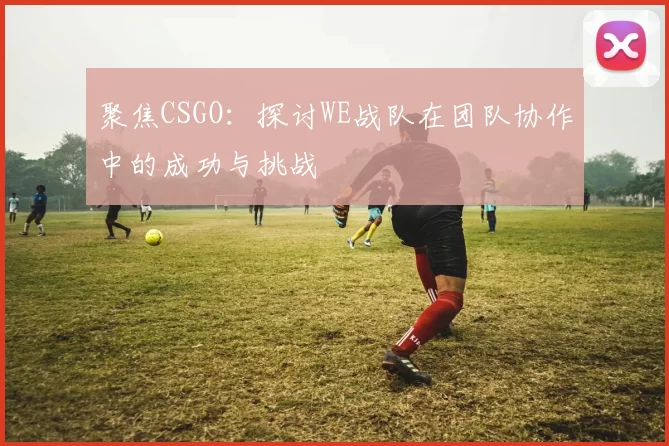 聚焦CSGO：探讨WE战队在团队协作中的成功与挑战