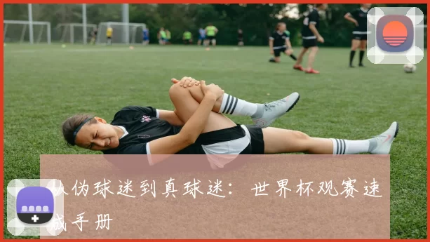 从伪球迷到真球迷：世界杯观赛速成手册