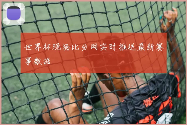 世界杯现场比分网实时推送最新赛事数据