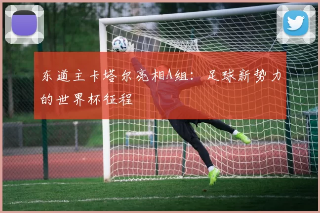 东道主卡塔尔亮相A组:足球新势力的世界杯征程