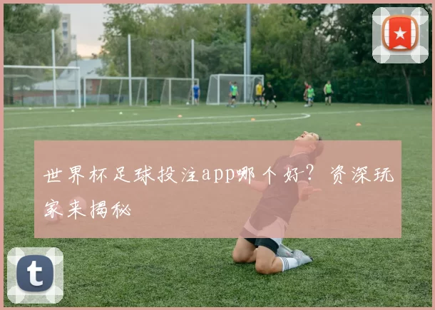 世界杯足球投注app哪个好?资深玩家来揭秘