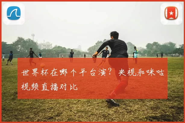 世界杯在哪个平台演?央视和咪咕视频直播对比