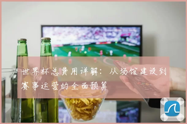 世界杯总费用详解:从场馆建设到赛事运营的全面预算
