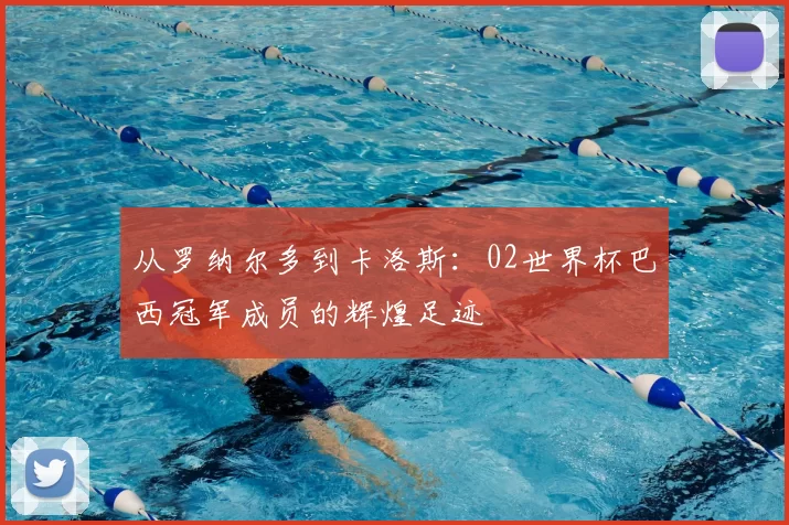 从罗纳尔多到卡洛斯:02世界杯巴西冠军成员的辉煌足迹
