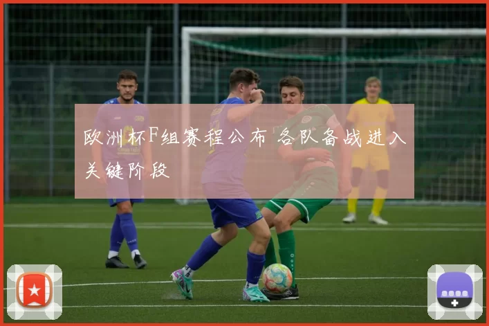 欧洲杯F组赛程公布 各队备战进入关键阶段