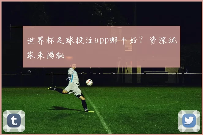 世界杯足球投注app哪个好？资深玩家来揭秘