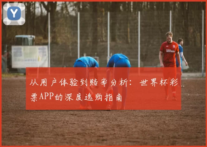 从用户体验到赔率分析:世界杯彩票APP的深度选购指南