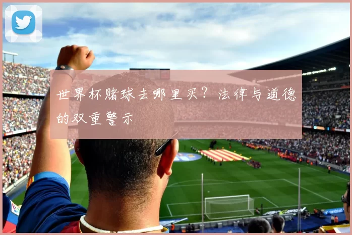 世界杯赌球去哪里买？法律与道德的双重警示