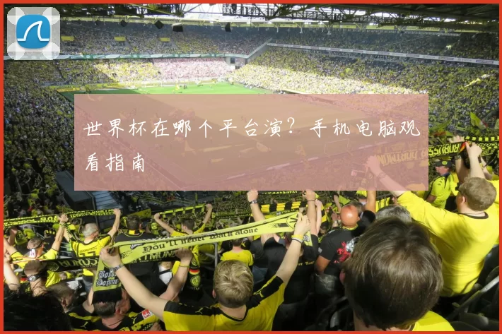 世界杯在哪个平台演？手机电脑观看指南